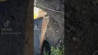 #коп #заросли#ферма