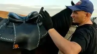Седло казачьего типа. Обзор  владельца.