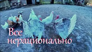 Снимаю лак с полок. Отвечаю на комментарии. Жизнь на хуторе.