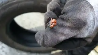 1톤화물차 용달차량 타이어 빵구때우는 영상