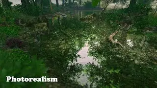 Unreal Engine 4 | Level Design | Forest Environment