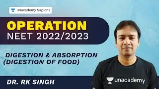 Digestion and  Absorption of Food | Neet 2022/2023 | Biology | Unacademy Sapiens by R K Singh