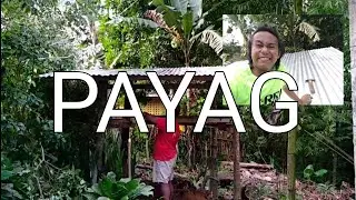 PAYAG || DIY PART 4