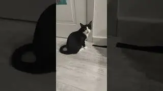 выпустить её❌Снять видео✔️