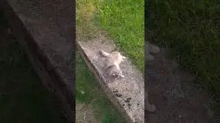 Масик💖
