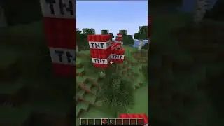 Minecraft But it's Upside Down