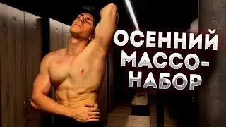 ОСЕННИЙ МАССОНАБОР! Что есть, чтобы набирать МАССУ?! | ТренеВлог №35