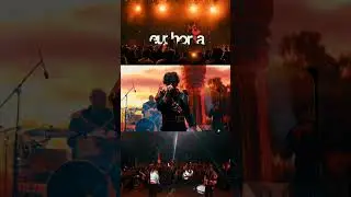 A Euphoria Show - The Ultimate Party!