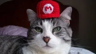 Sofrendo No Cat Mario#1(Com Amigos)