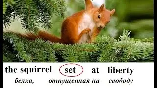ПРИЧАСТИЕ ПРОШЕДШЕГО ВРЕМЕНИ  в Английском Языке.