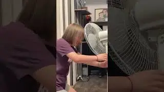 помогите 