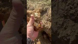 Нашли пистолет ТТ в сапоге у солдата.