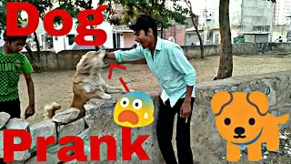 Prank With Dog || Funny Video || By Sandeep