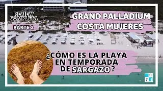 REVIEW COMPLETA Grand Palladium Costa Mujeres - Temporada sargazo JUNIO 2023