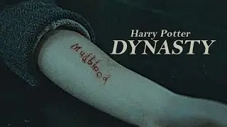 Harry Potter || Dynasty