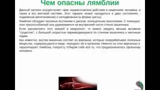 Очищение печени от паразитов. Лечение без лекарств