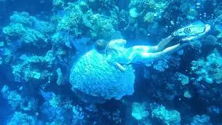 Коралловые рифы Хургады: Отель с рифом. Погружение в Подводный мир Красного моря! Jaz Coraya Обзор.