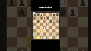 Quick Mate | ChessBotX 1.6.1q 