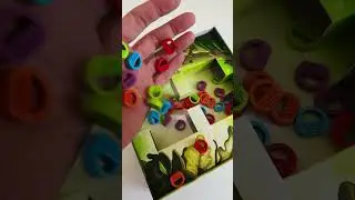 самые грибные места 🍄 