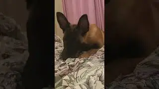 день рождения у Алого!!!