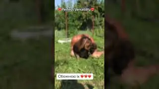 Без них и ни туда и ни сюда🥰🥰🥰❤️‍🔥❤️‍🔥❤️‍🔥 