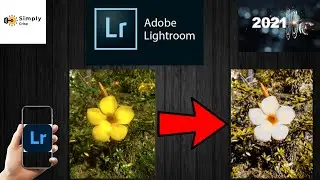 Adobe Photoshop Lightroom Tutorial | Professional Photo Editing | Best Mobile Photo Editing App 2021
