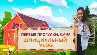 Парк, дача, любовь к детям. Первые прогулки со щенком. шпициальный VLOG