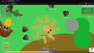 Mope.io Sandbox Testing - 09/10/2022