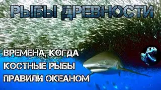 КОСТНЫЕ РЫБЫ | Как они океаном в девоне правили