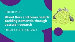 Blood flow and brain health: tackling dementia through vascular research
