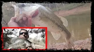 Stocking 3 + Pounder and Slab Crappie Catch