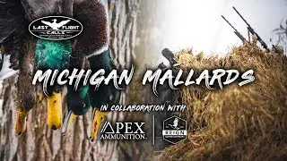 MICHIGAN MALLARDS | Finally in the GREEN!!