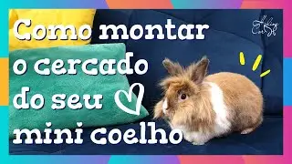 Como montar um cantinho / Tour pela casa do meu mini coelho / Mini coelho - Dicas e cuidados