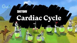 The Cardiac Cycle: Systole & Diastole (Part 1) | Sketchy Medical | USMLE Step 1