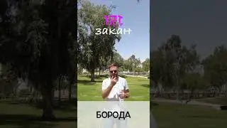 Борода на иврите