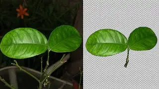 How To Cut Out an Object in Illustrator CC - Cut Out an Object in Illustrator