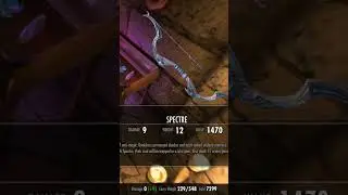 This Bow Is Kinda Nuts..