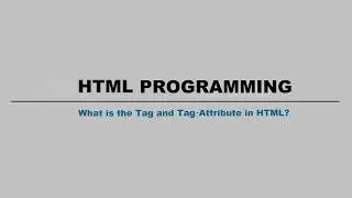 HTML Programming   What is the Tag and Tag Attribute in HTML