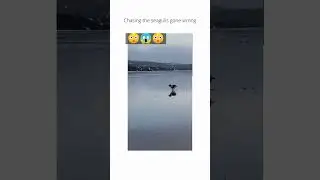 #fun2023 #shorts  #tiktok  #dog  #funny  #jokes  #animal