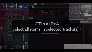 CUSTOM ACTION 13 : "CTL+ALT+A" Show/zoom ALL items on SELECTED tracks