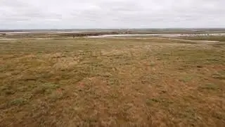 Ямальская тундра в июле