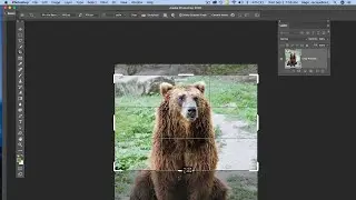 Photoshop CC 2020 - Crop tool