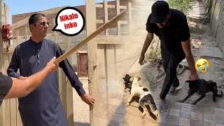 Wahab Bhiya Ny Chutki Or Chutko Ko Nikal Dya