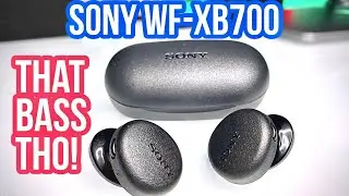 BEST TRUE WIRELESS EARBUDS UNDER $150 ! Sony WF-XB700