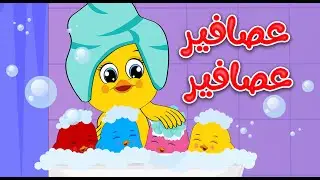 عصافير عصافير صو صو | أصوات الحيوانات