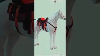 The Sims 4 Create a HORSE 💞