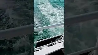 На яхте по большому сочи #titanic #сочи #сочи2024 #яхта