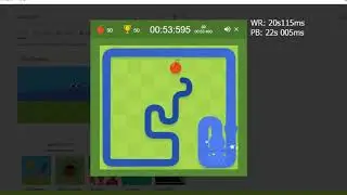 Accidental world record
