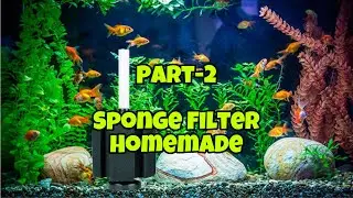 How To Make Filter For Aquarium
