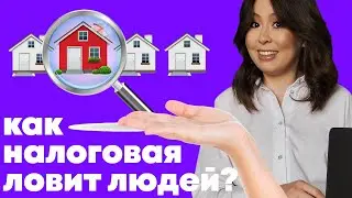 Как налоговая узнает, кто сдает квартиру и не платит налоги? Кто стучит в налоговую?